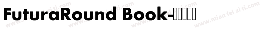 FuturaRound Book字体转换